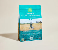Chicken & Salmon Ancient Grains Puppy Kibble