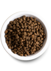 Ancient Grains Puppy Pack