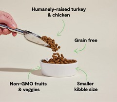 Small Breed Grain-Free Dog Kibble