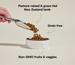 Pasture-Raised Lamb Grain-Free Dog Kibble