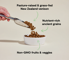 New Zealand Venison & Ancient Grains Dog Kibble
