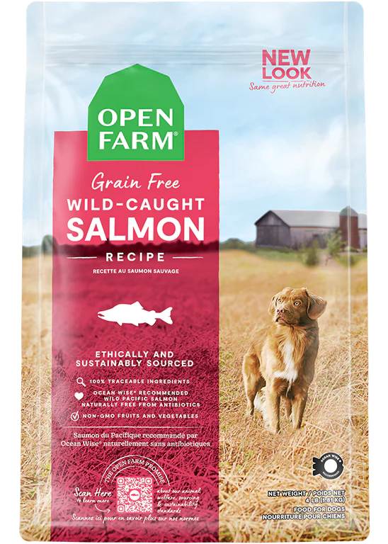 Wild-Caught Salmon Grain-Free Dog Kibble