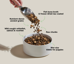 RawMix Ancient Grains Puppy Kibble