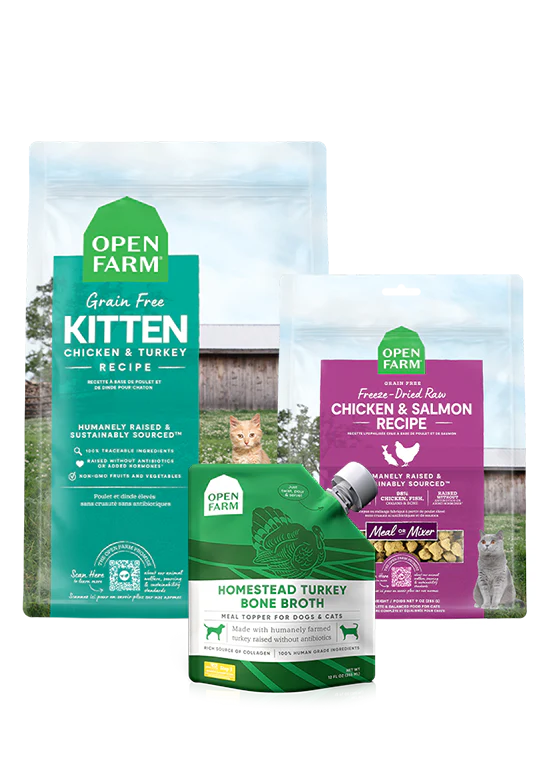 New Kitten Pack