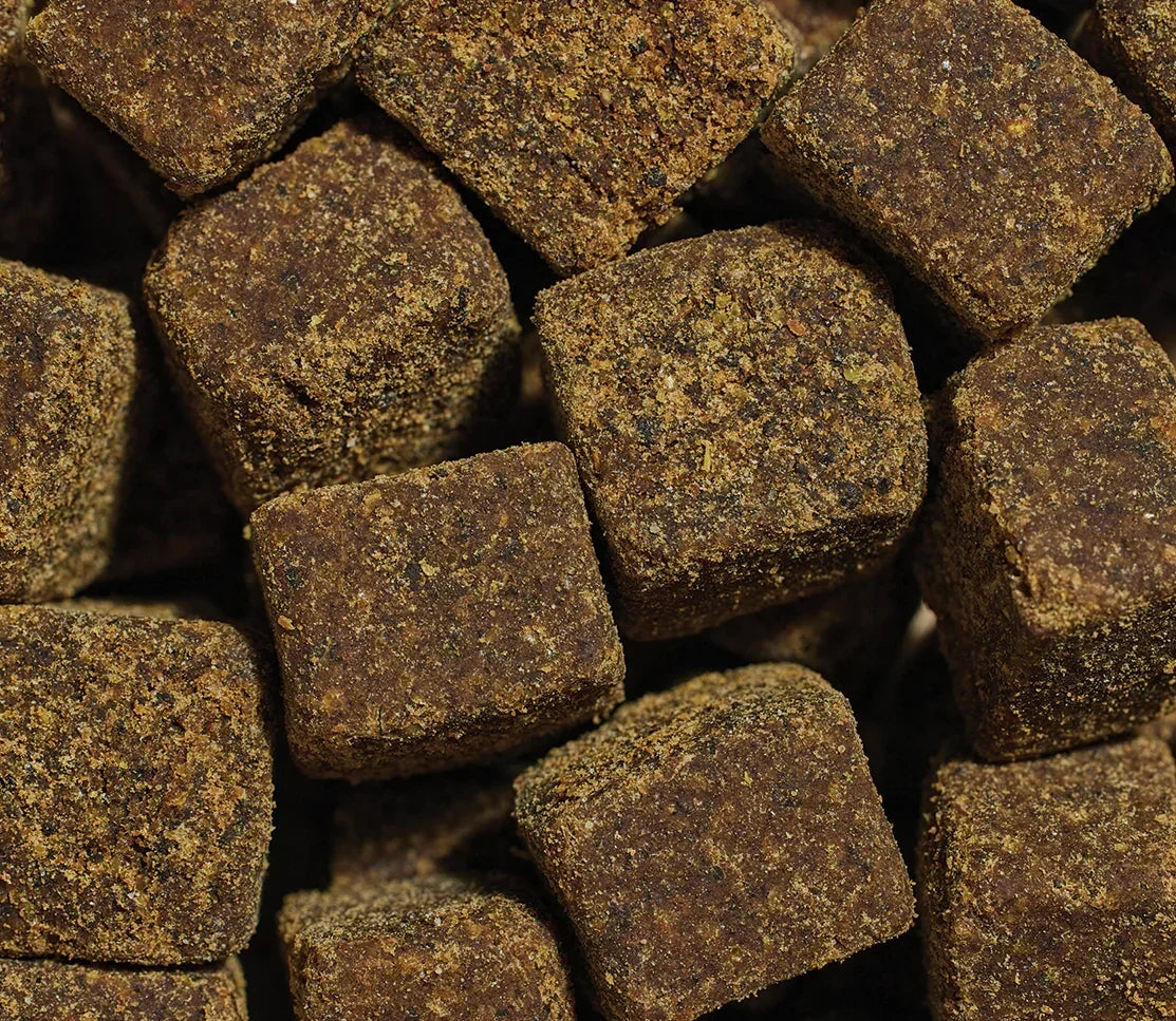 Hip & Joint Supplement Chews for Dogs