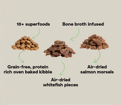 Epic Blend Salmon & Superfood Grain-Free Dog Kibble