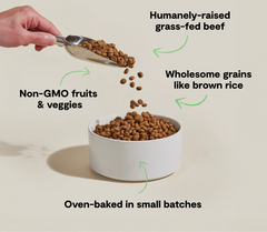 Goodbowl™ Grass-Fed Beef & Brown Rice Dog Kibble