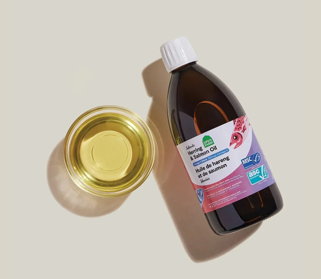 Icelandic Herring & Salmon Oil For Dogs