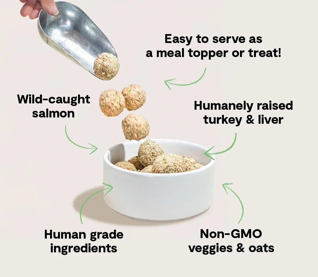 Turkey & Salmon Freshly Crafted Meatballs for Dogs