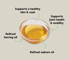 Icelandic Herring & Salmon Oil For Dogs